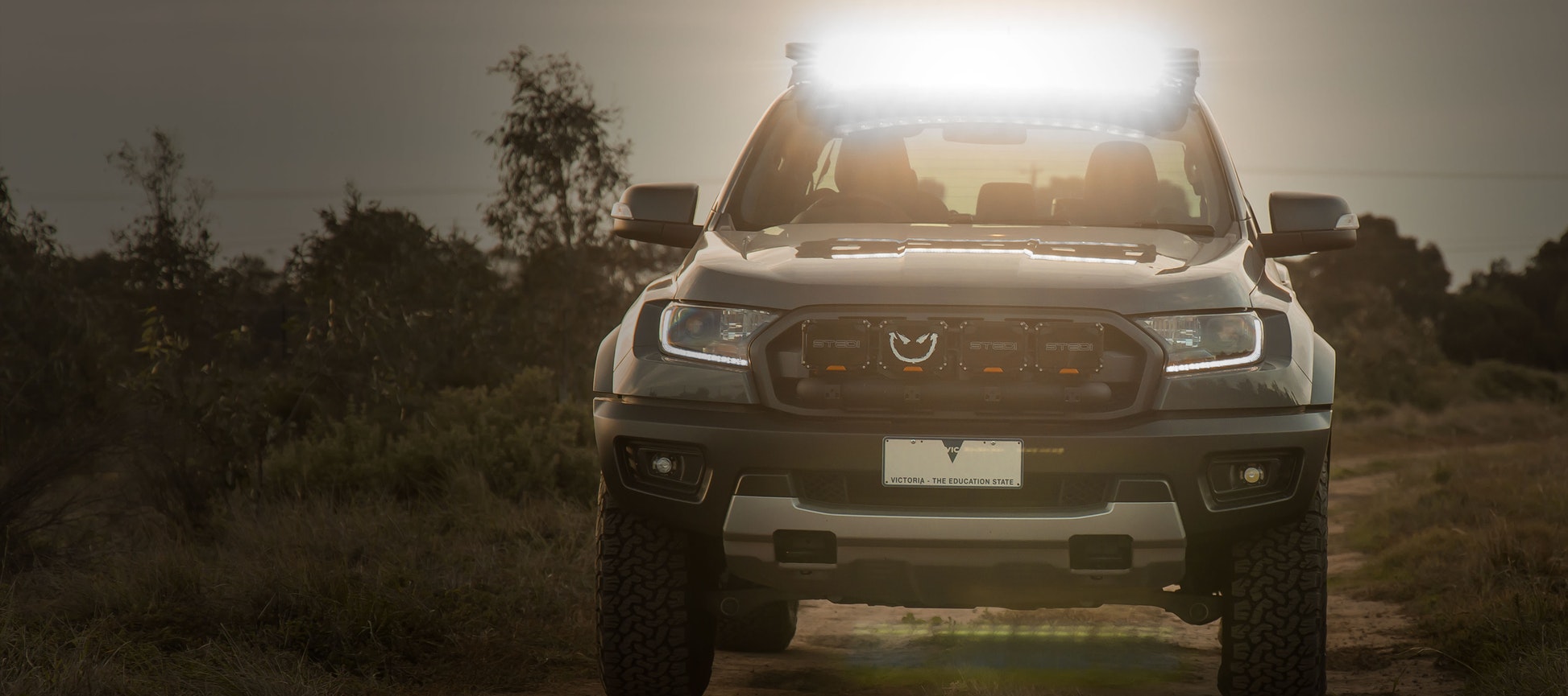 STEDI ST-X 12